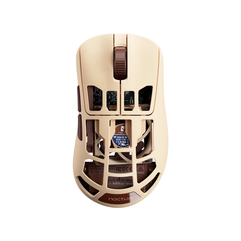 Feinmann F01 Noctua 联名