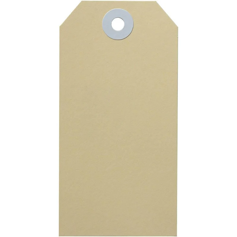 Avery 14100 Shipping Tag Size 4 108x54mm Buff Box 100